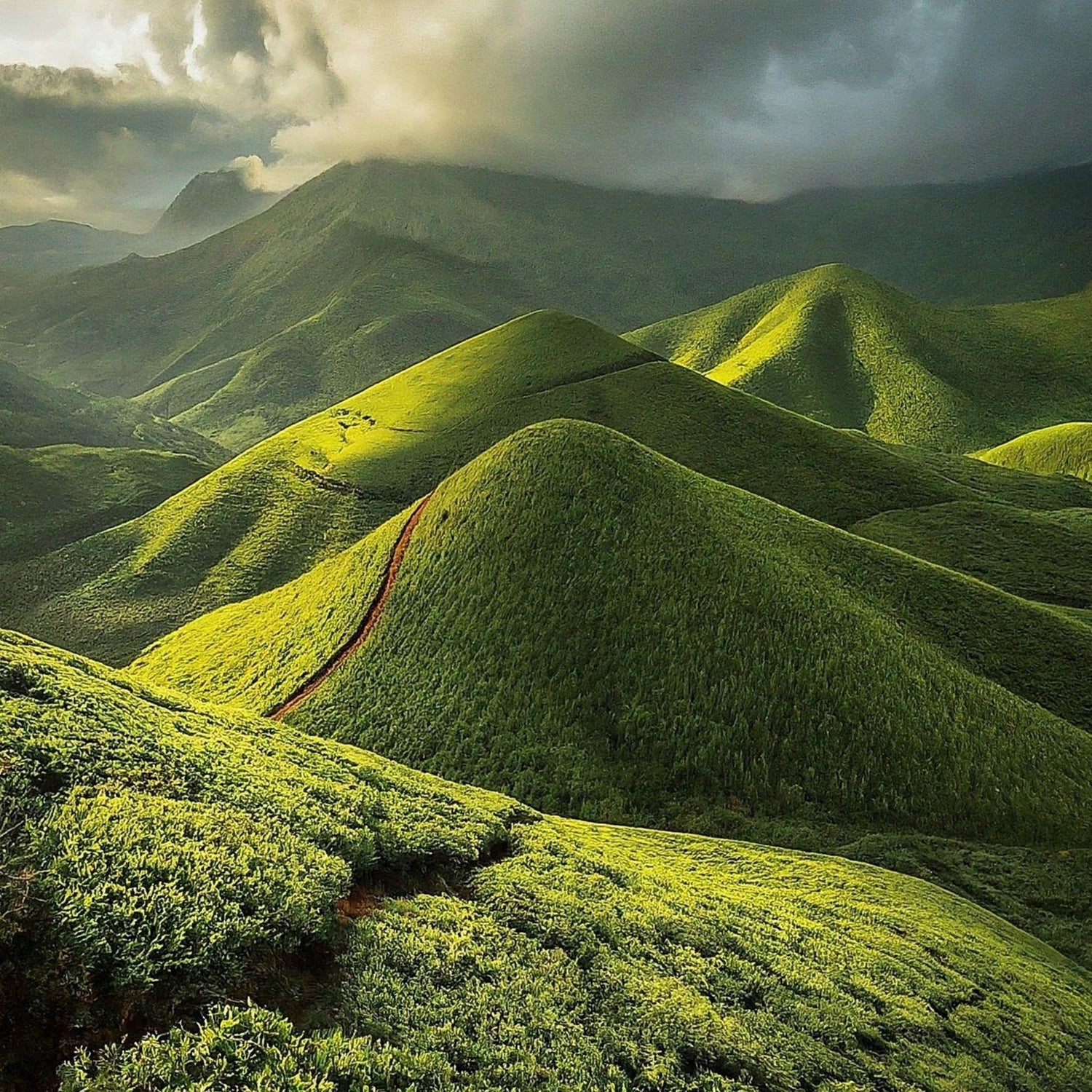 Kerala