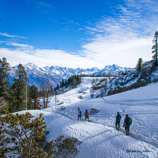 Essence of Himachal