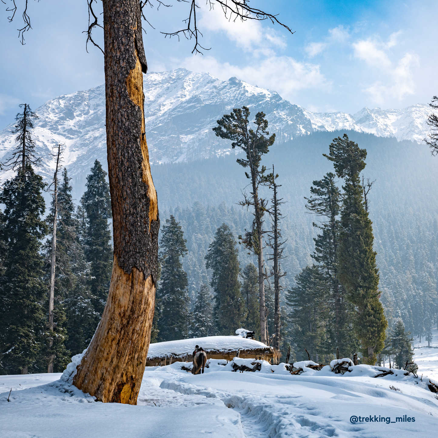 Customizable – Explore Kashmir