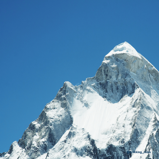 Gaumukh Tapovan Trek