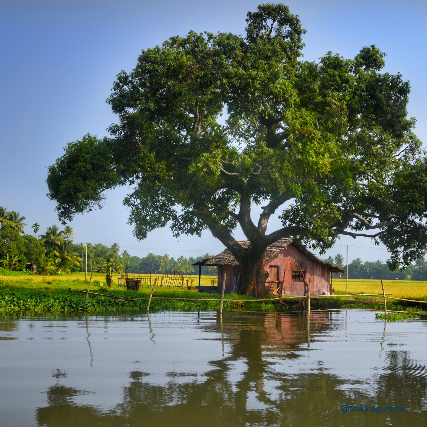 Explore Kerala