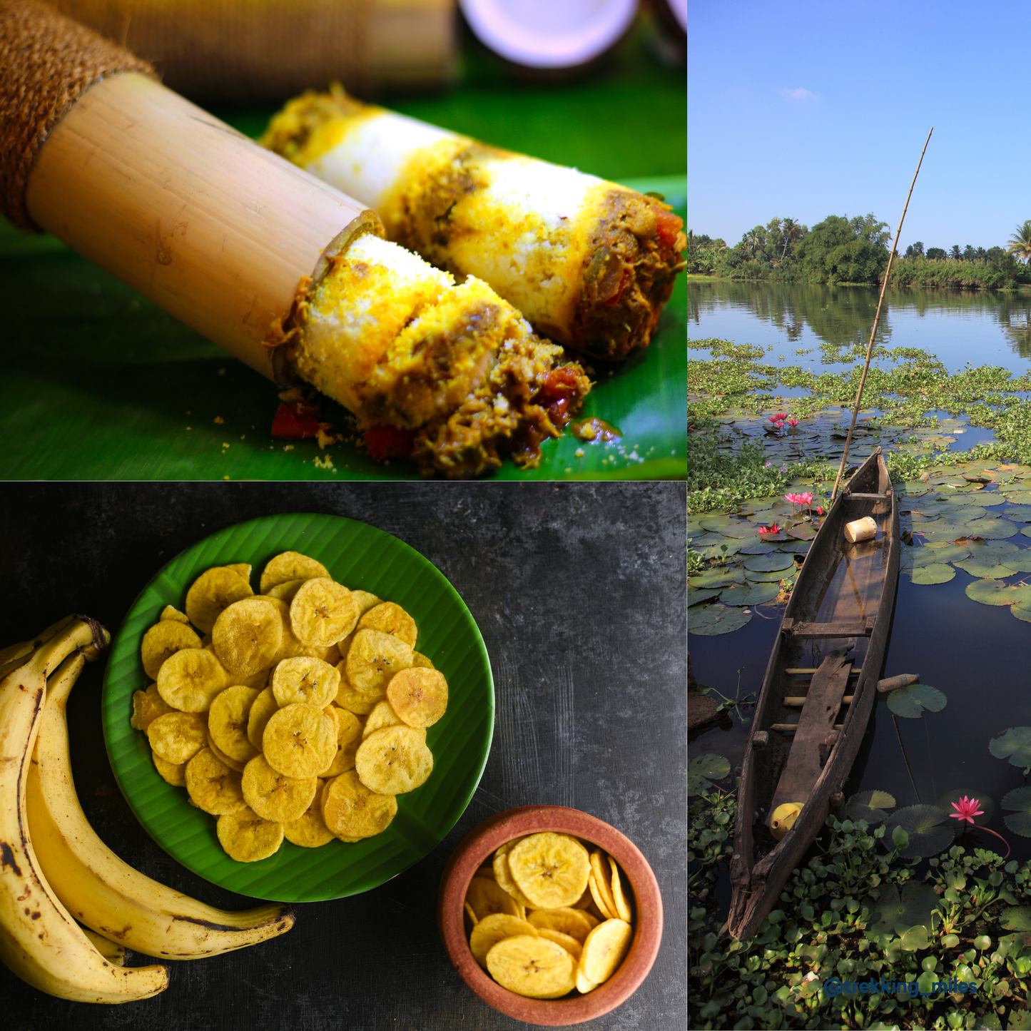 Explore Kerala