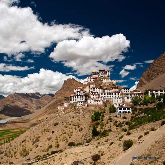 Splendid Spiti